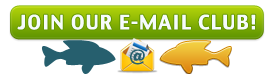 Join Our Email Club!